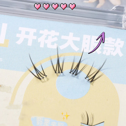 Natural Glue-Free Cluster Lashes